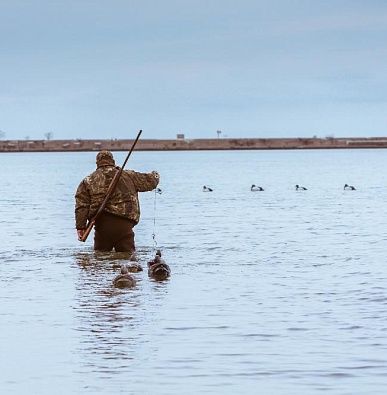 Сроки весенней охоты на уток стали известны на Ямале