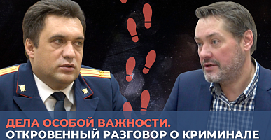 Дела особой важности. Откровенный разговор о криминале