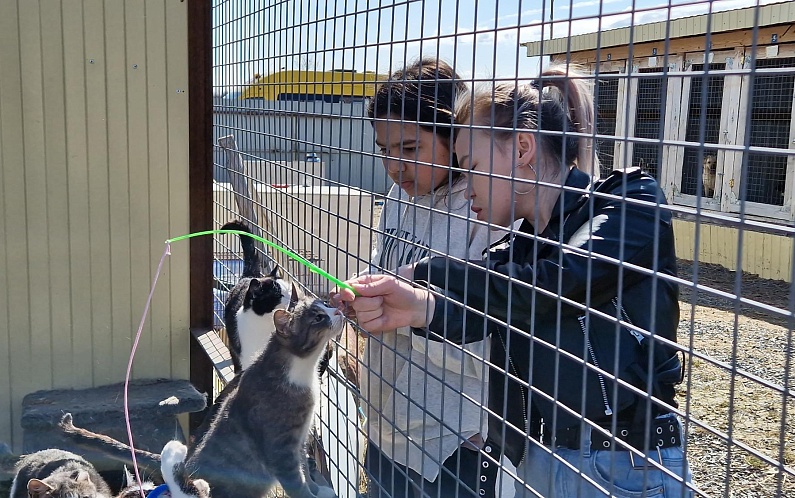 Зооволонтеры Аксарки посетили приют для бездомных животных