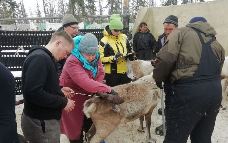 В совхозе «Байдарацком» проведут эксперимент