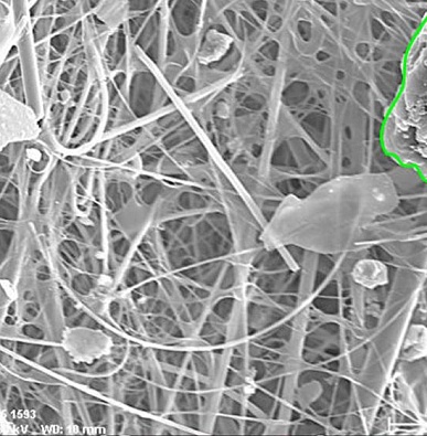 Микропластик нашли в реках и озёрах Ямала