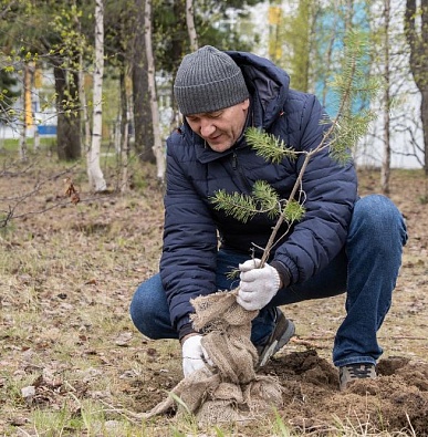 Уральские учёные разработали правила озеленения ямальских городов и посёлков
